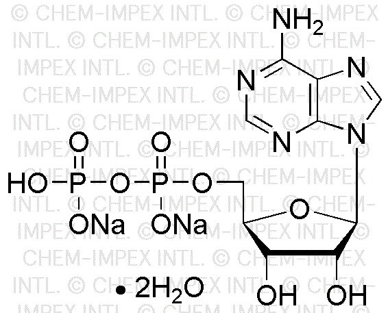 Adenosine-5'-diphosphate disodium salt dihydrate