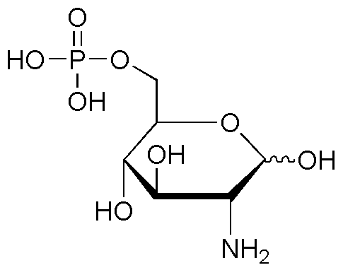D-Glucosamine 6-phosphate