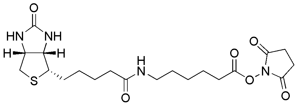 Biotinamidohexanoic acid N-hydroxysuccinimide ester