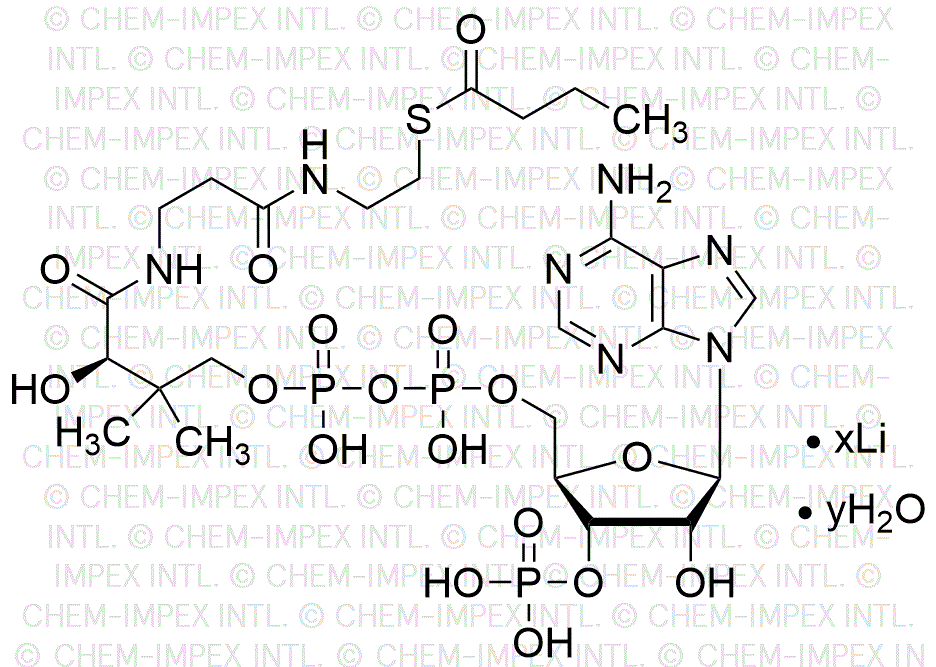 Butyryl coenzyme A lithium salt hydrate
