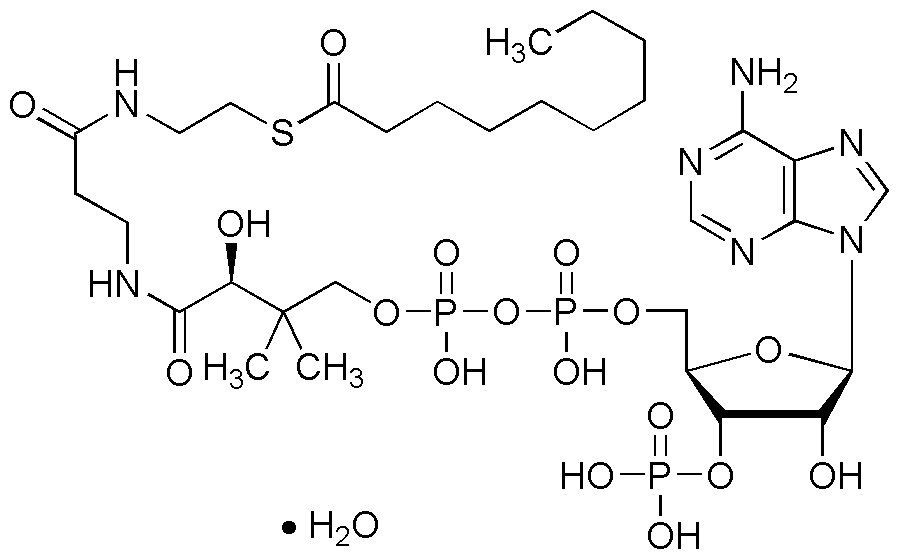 Decanoyl coenzyme A monohydrate