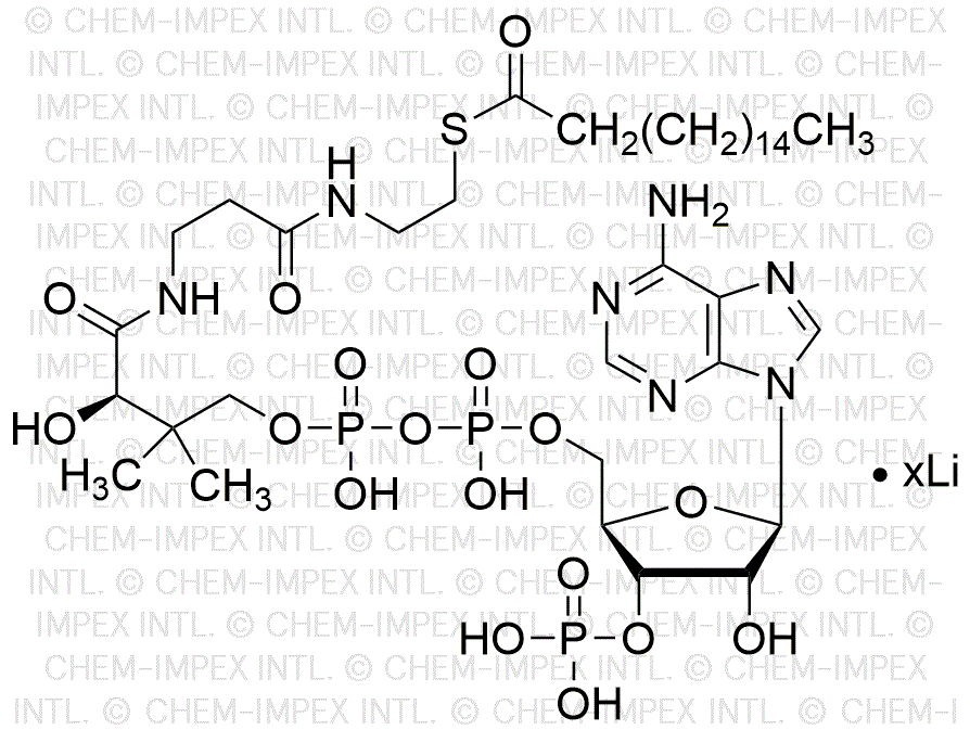 n-Heptadécanoyl coenzyme A sel de lithium