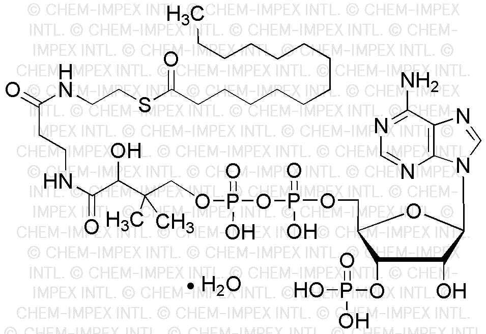 Myristoyl coenzyme A sodium salt
