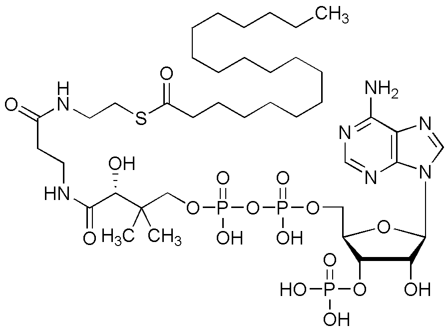 Nonadécanoyl coenzyme A
