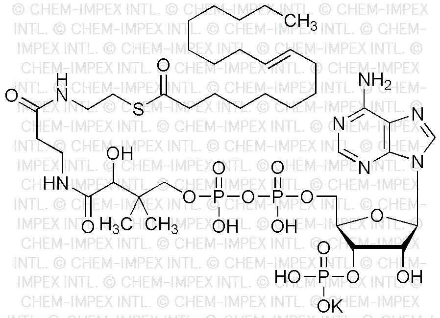 Oleoyl coenzyme A potassium salt
