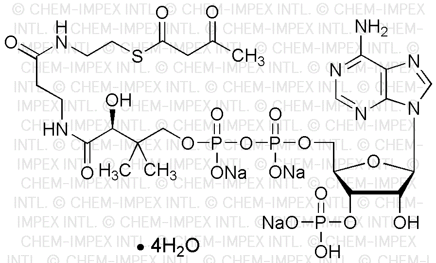 Acetoacetyl coenzyme A trisodium salt tetrahydrate