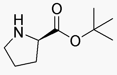 D-Proline tert-butyl ester