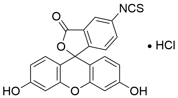Chlorhydrate d'isothiocyanate de fluorescéine (FITC)