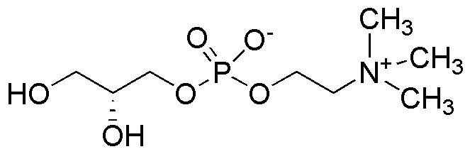 sn-Glycéro-3-phosphocholine