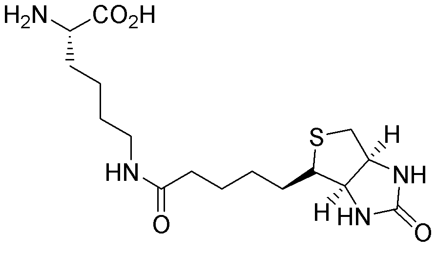 Nε-Biotinil-L-lisina