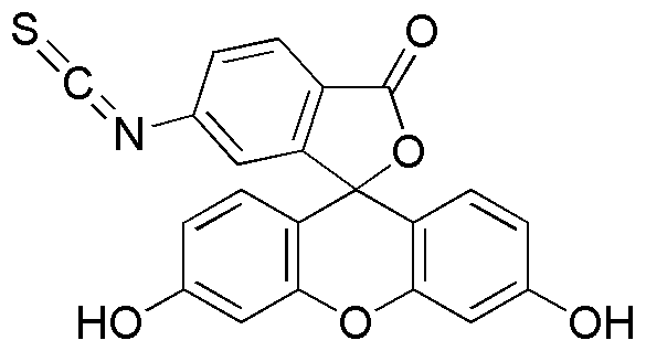 Fluorescein 6-isothiocyanate
