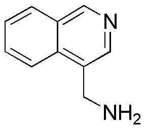 Isoquinolin-4-yl-methylamine