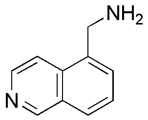 Isoquinolin-5-yl-methylamine