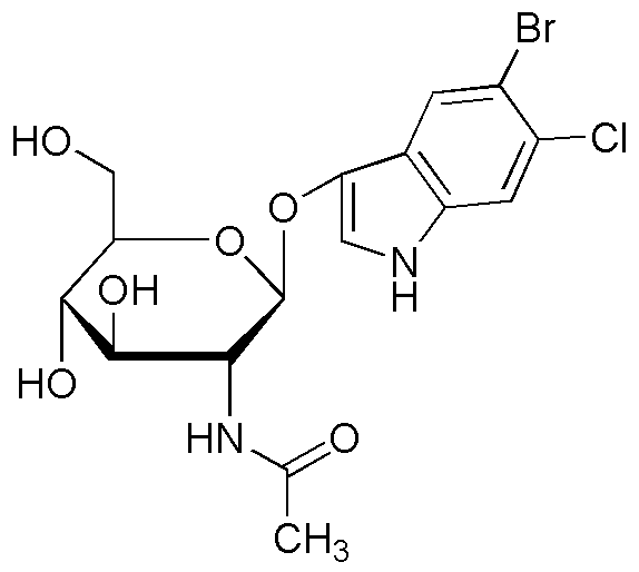 5-Bromo-6-chloro-3-indoxyl-N-acetyl-β-D-glucosaminide