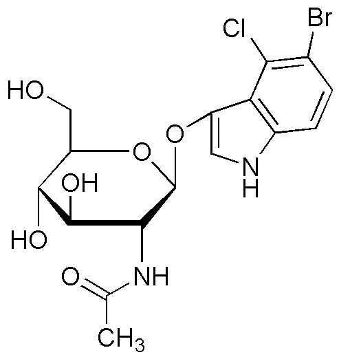 5-Bromo-4-chloro-3-indolyl-N-acetyl-β-D-glucosaminide