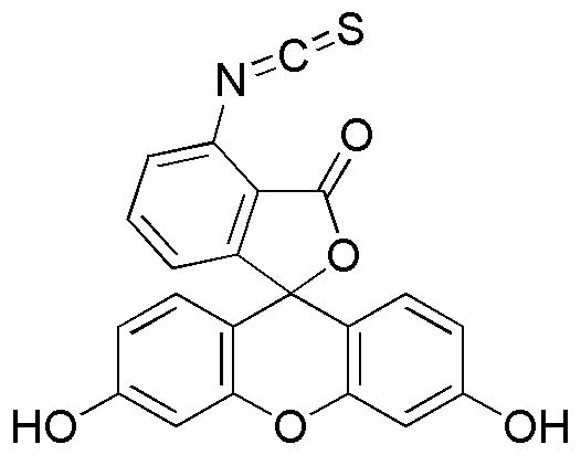Fluorescein-4-isothiocyanate (FITC-II)