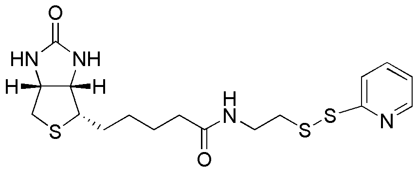 (+)-Biotin-PDA