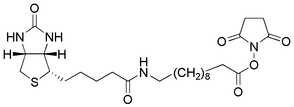 SLC-NHS-(+)-Biotin