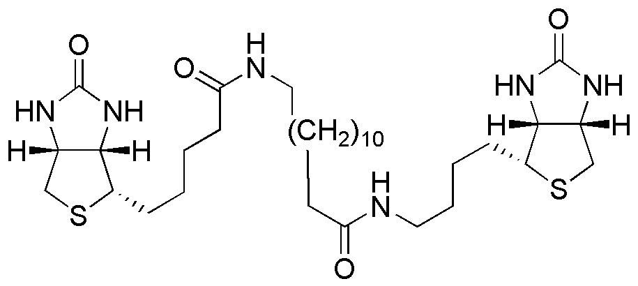 (+)-Biotine-C12-(+)-Biotine