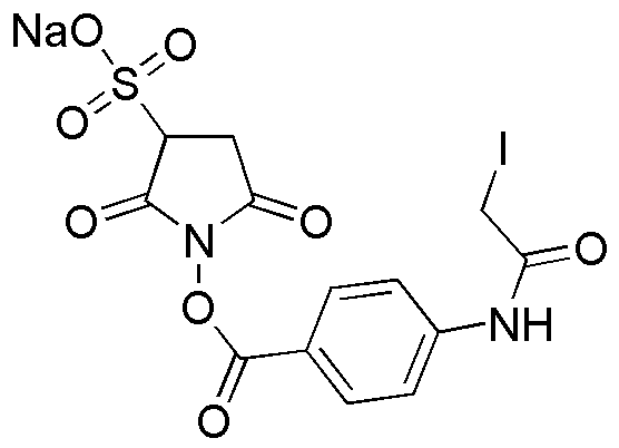 (4-Yodoacetil)aminobenzoato de sulfosuccinimidilo