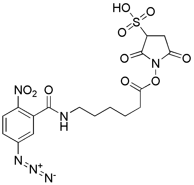 N-(5-Azido-2-nitrobenzamidocaproyl) sulfo-succinimide