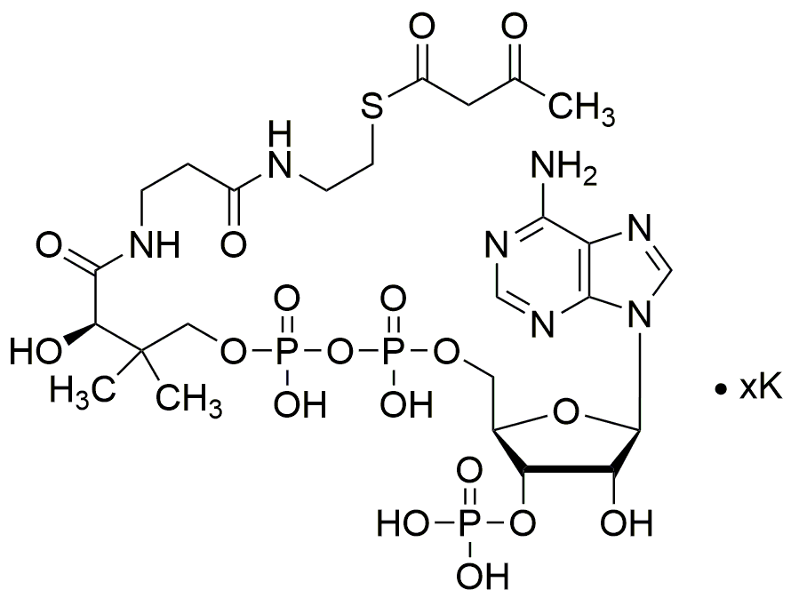 Sal de potasio de acetoacetil coenzima A