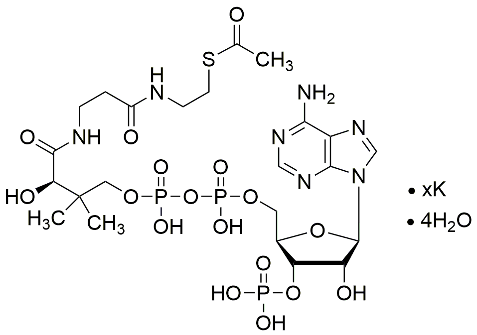 Sel de potassium tétrahydraté de l'acétyl coenzyme A