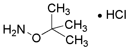 O-tert-Butylhydroxylamine hydrochloride