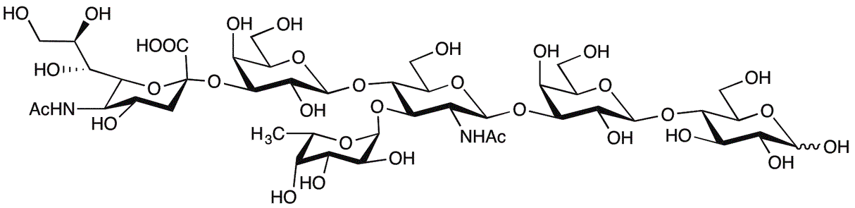 Sialyl Lewis X-lactose
