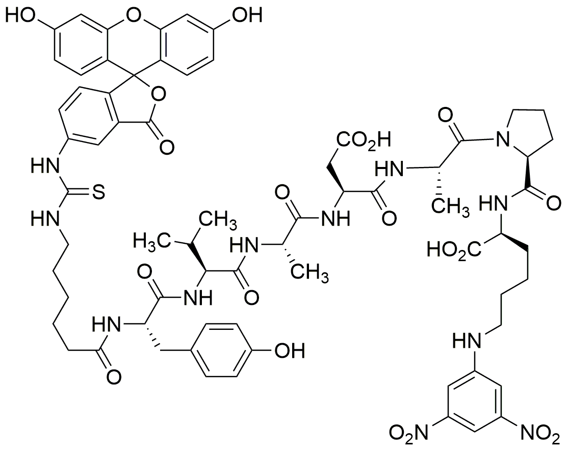 FITC-Tyr-Val-Ala-Asp-Ala-Pro-Lys(Dnp)-OH (Contains FITC isomer I) · TFA Salt