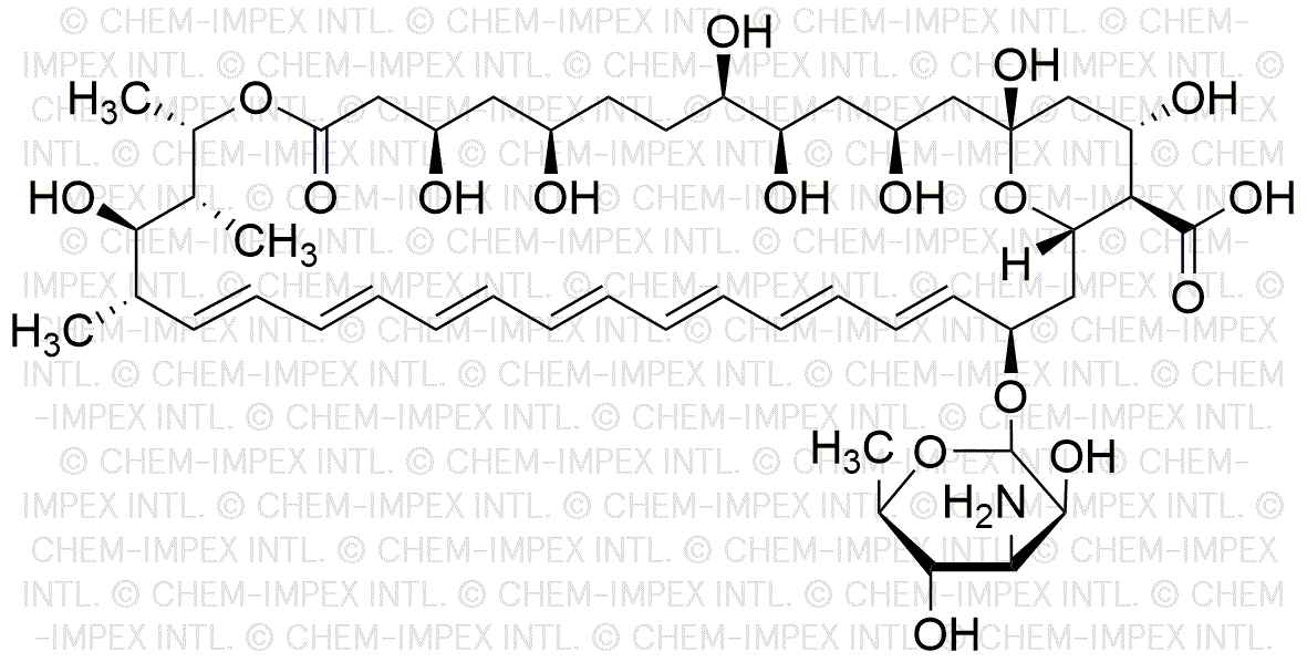 Amphotericin B from Streptomyces species
