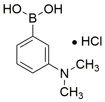 Chlorhydrate d'acide 3-(diméthylamino)phénylboronique