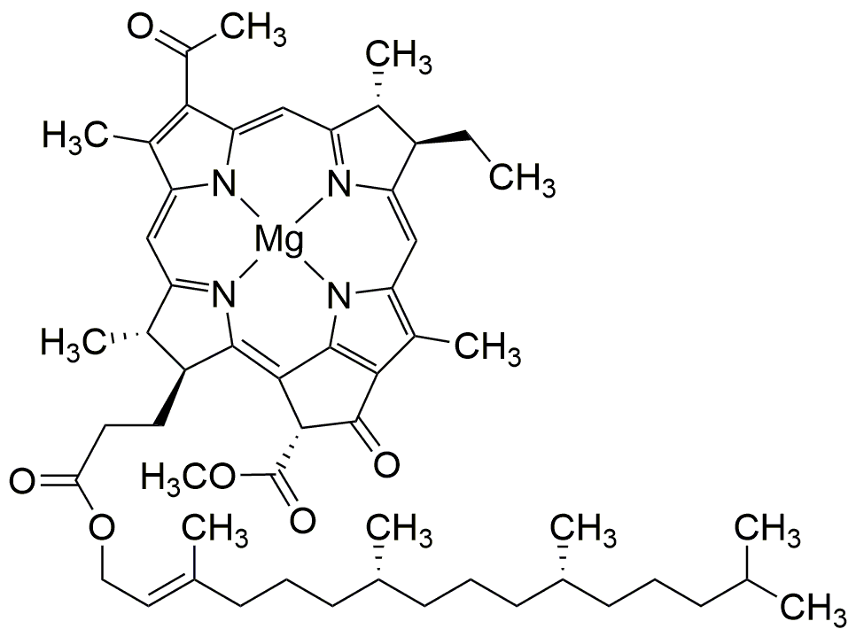 Bactériochlorophylle de Rhodopseudomonas sphaeroides