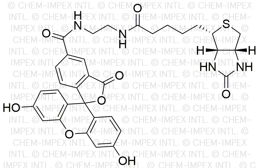 Biotin-4-fluorescein