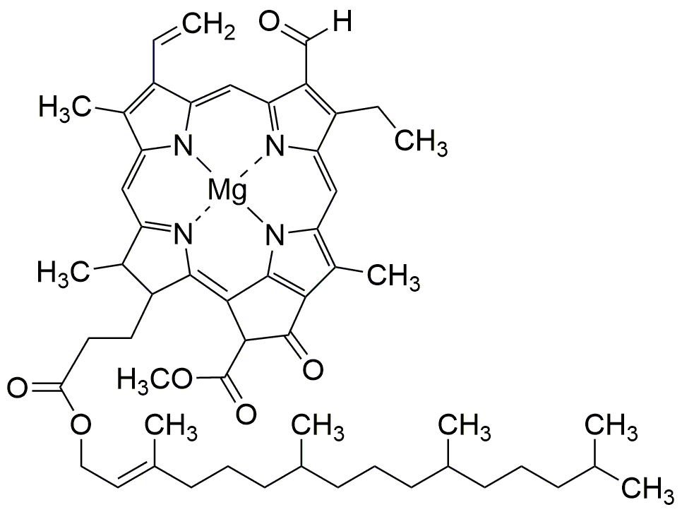 Chlorophyll b from spinach