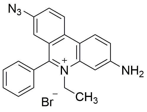 Ethidium bromide monoazide
