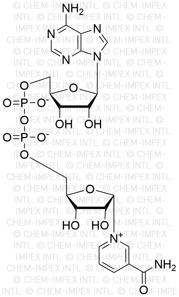 Dinucleótido de adenina y a-nicotinamida de Saccharomyces cerevisiae