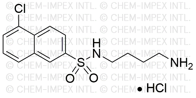 N-(4-Aminobutyl)-5-chloronaphthalene-2-sulfonamide hydrochloride