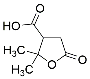 Terebic acid