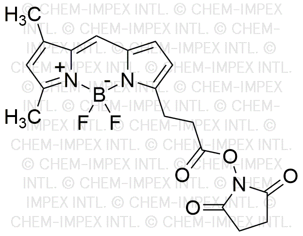 Ester N-succinimidylique de l'acide 4,4-difluoro-5,7-diméthyl-4-bora-3a,4a-diaza-s-indacène-3-propionique
