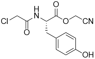 Chloroacetyl-L-tyrosine cyanomethyl ester