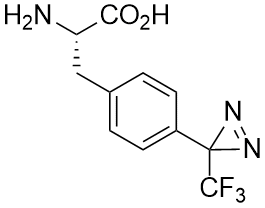 H-L-Photo-phenyl alanine
