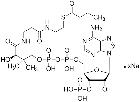 Butyryl coenzyme A, Sodium salt