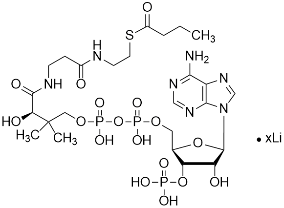 Butyryl coenzyme A, Lithium Salt