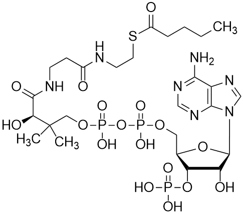 Valeryl coenzyme A, Free acid