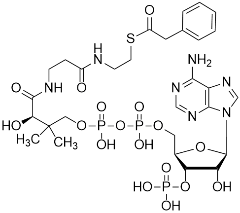 Phenylacetyl coenzyme A, Free acid