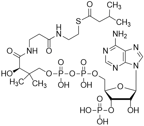 Isovaleryl coenzyme A, Free acid