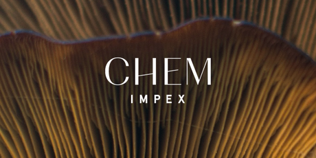 Important Update About Dichloromethane (DCM)