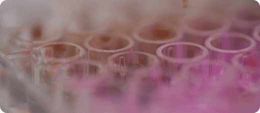 5 game-changing products fueling longevity research