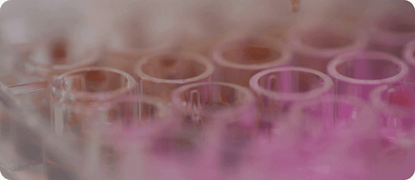 5 game-changing products fueling longevity research